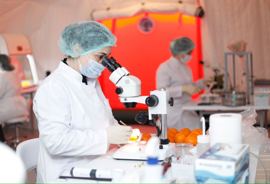 Azərbaycanda ilk dəfə olaraq Səyyar Fitosanitar Laboratoriya fəaliyyətə başlayıb