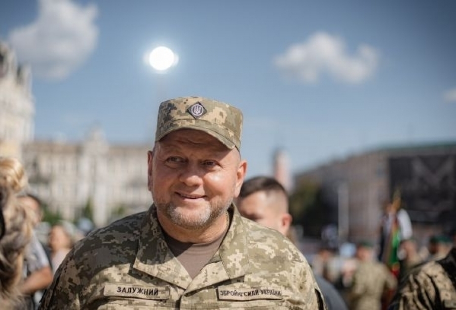 Ukraine: Armeechef Saluschnyj abgesetzt