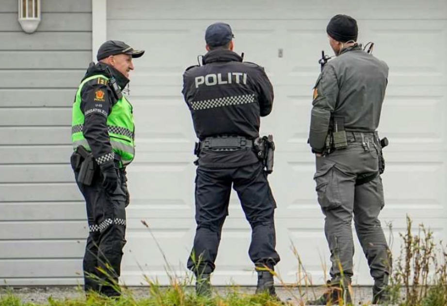 Шведские преступные группировки действуют по всей Норвегии