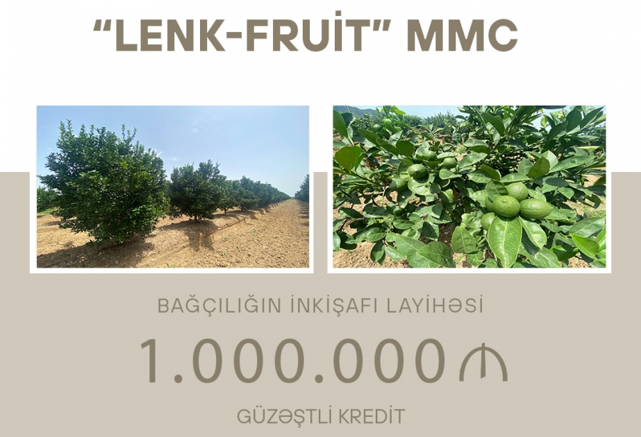 Sitrus meyvələrinin yetişdirilməsi üçün güzəştli kredit ayrılıb