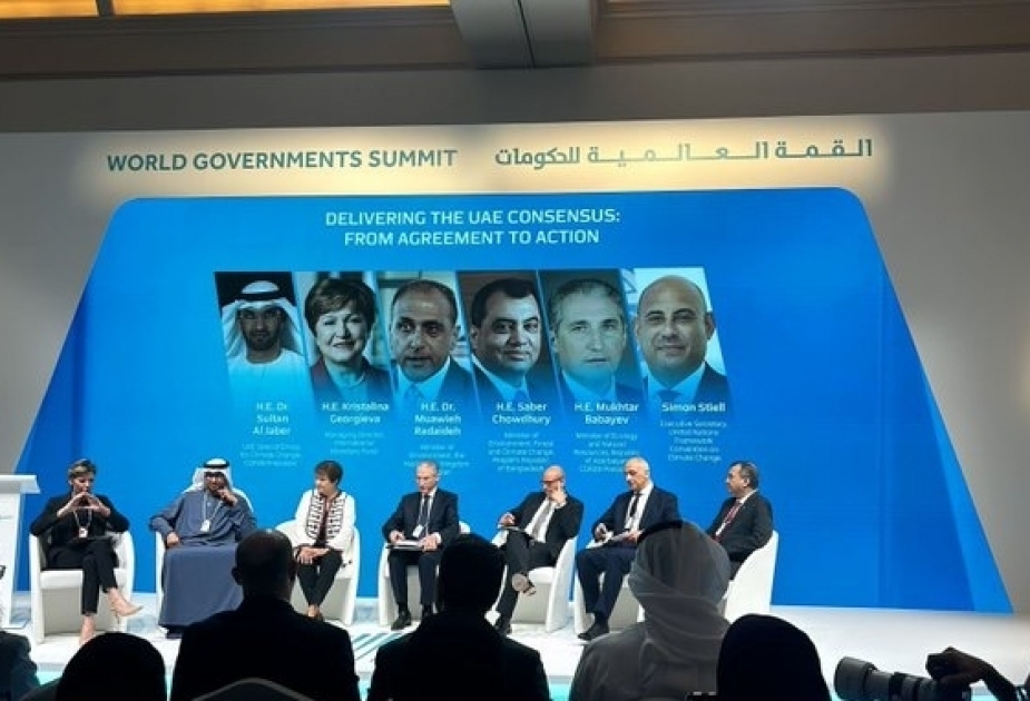 Azerbaijan`s COP 29 President–Designate attends “Delivering the UAE Consensus – From Agreement to Action” panel session