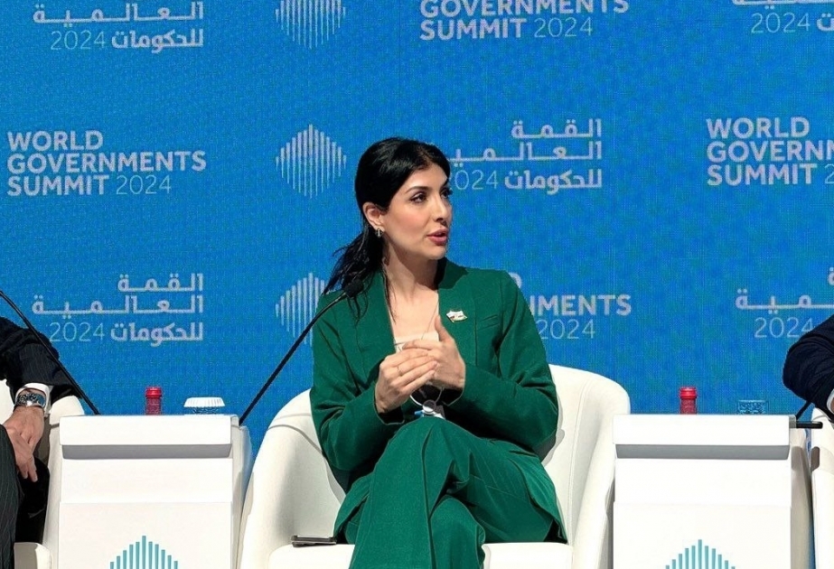World Governments Summit voices expectations from COP29