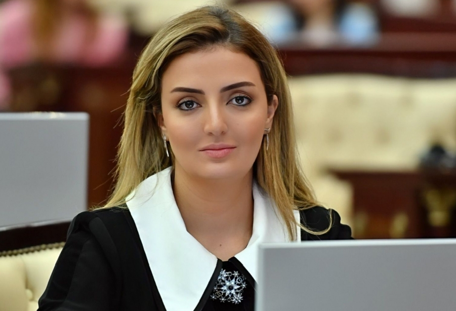 Deputat: Ermənistan Aİ missiyasının çətiri altında çirkin niyyətlərini reallaşdırmağa çalışır