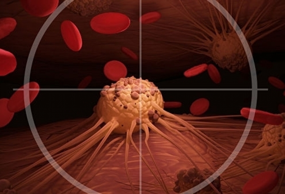 “BioNTech” immunitetə müstəqil şəkildə xərçəngin ocaqlarını məhv etməyə kömək edən vaksin hazırlamaq niyyətindədir
