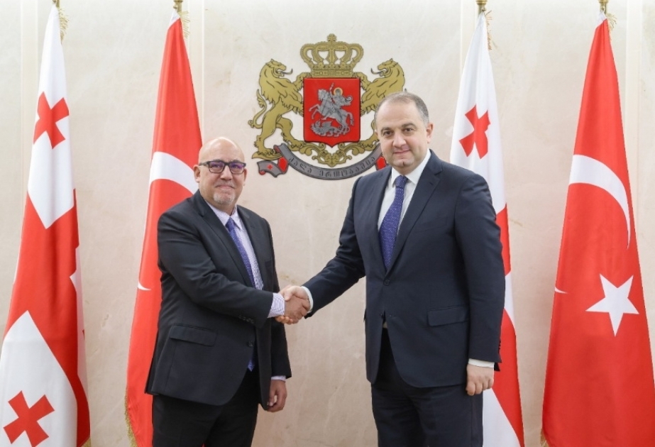 Gürcüstanın müdafiə naziri Türkiyə səfiri ilə görüşüb