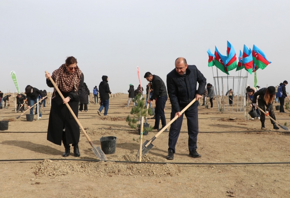 Global Media Group organizes tree planting campaign as part of Green World Solidarity Year
