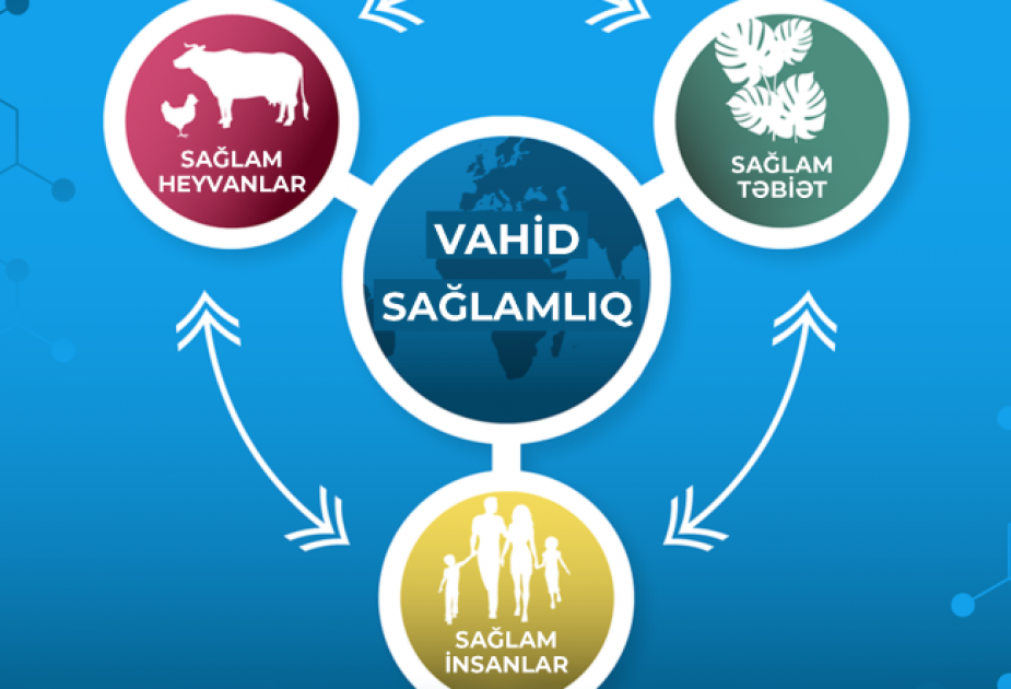 AQTA “Vahid Sağlamlıq” konsepsiyası ilə bağlı zəruri tədbirləri davam etdirir