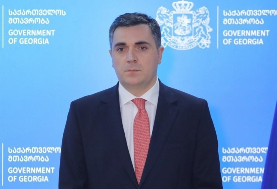 Gürcüstanın xarici işlər naziri Türkiyəyə səfər edib