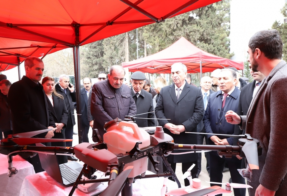 Salyanda Aqrar Biznes Festivalı keçirilib
