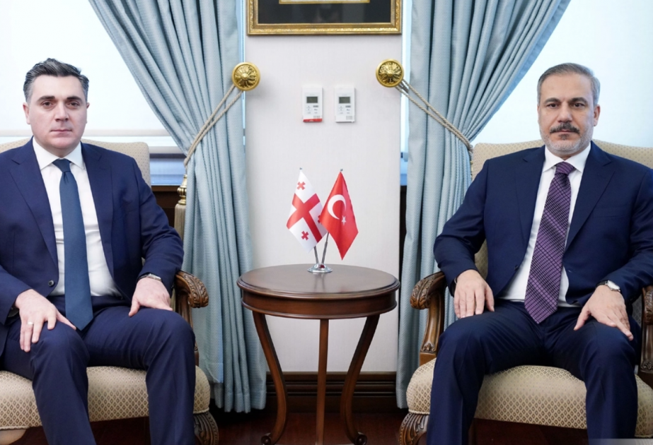 Georgian, Turkish FMs discuss strategic partnership, projects, security challenges