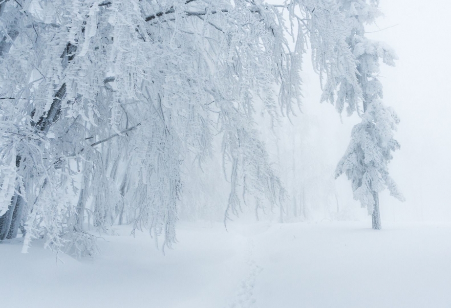 17 февраля на большей части территории страны пойдет снег