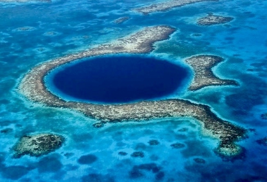 'Extraordinary' levels of toxic pollutants found even ın Mariana Trench, deepest point on Earth