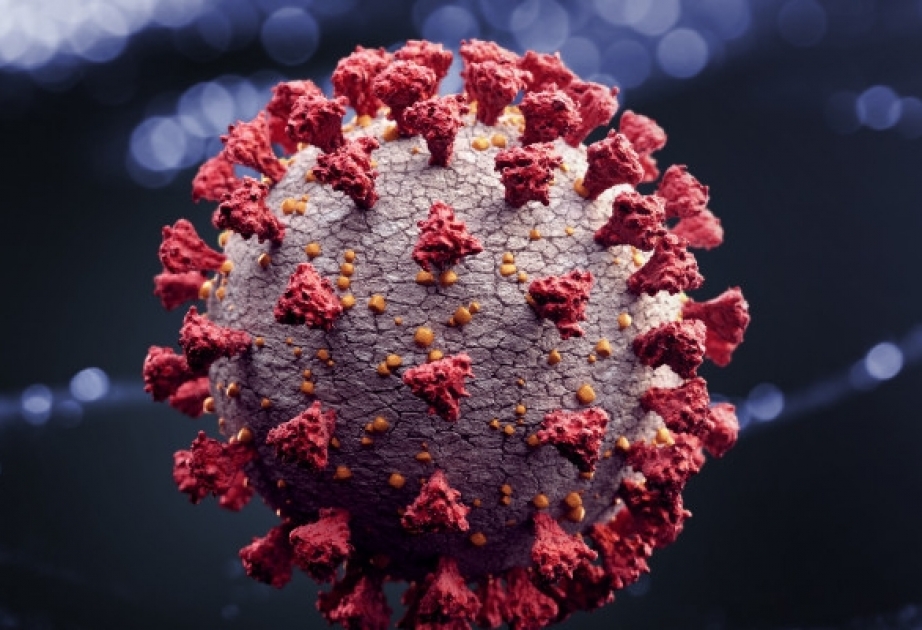 Charité-Studie: Neurologische Symptome bei Corona womöglich Folge von Immunreaktion