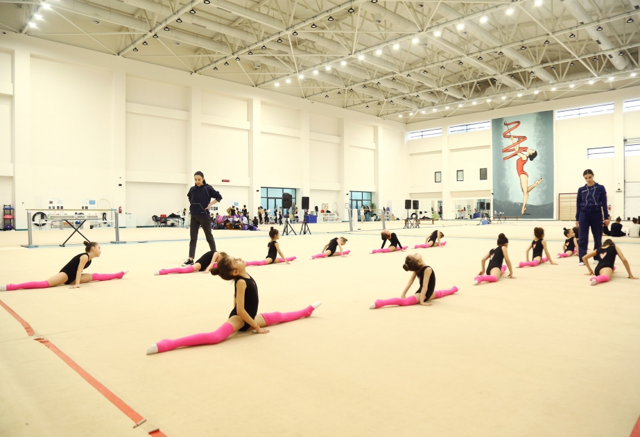 Şağan və Hövsan gimnastları Milli Gimnastika Arenasında təlim-məşq toplanışına başlayıblar