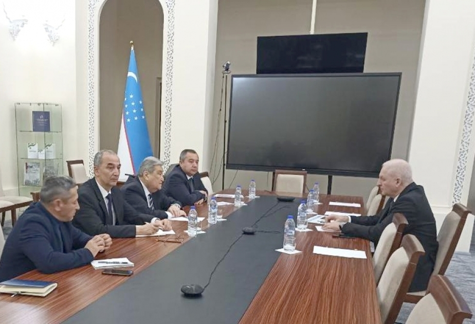 International Turkic Academy has meeting with Uzbekistan's Academy of Sciences
