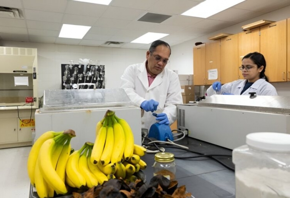 Ученые создали пакеты из банановой кожуры на смену пластику