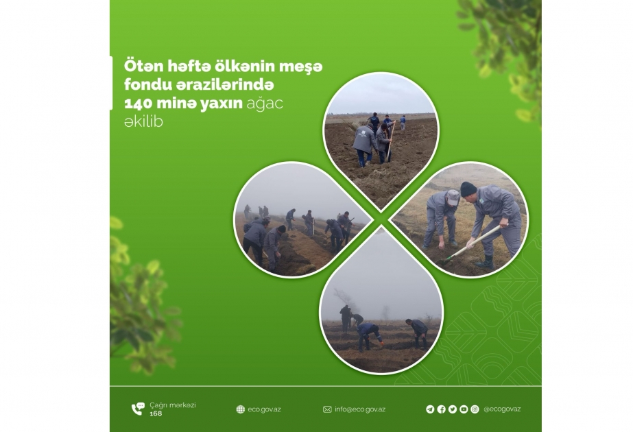 Ötən həftə ölkənin meşə fondu ərazilərində 140 minə yaxın ağac əkilib