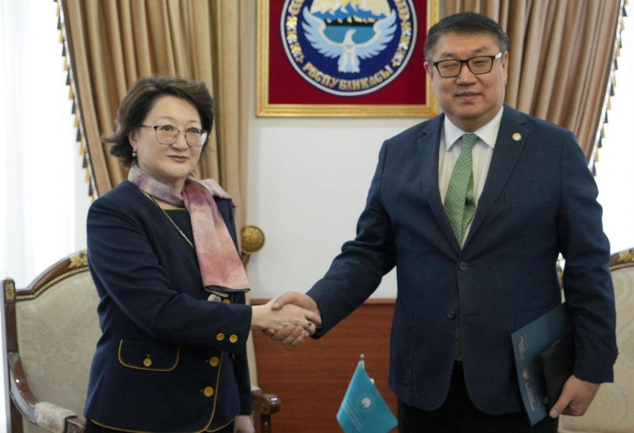 Popularization of shared Turkic culture discussed