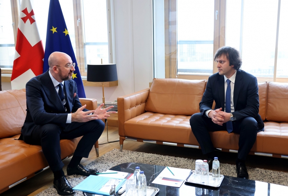 Le Premier ministre géorgien et le président du Conseil européen discutent de la situation dans la région