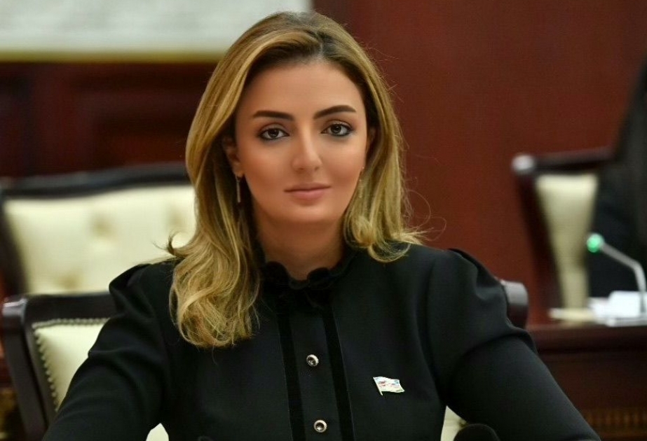 Deputat: Azərbaycan və Türkiyə liderləri növbəti dəfə birlik, qardaşlıq mesajı verdilər