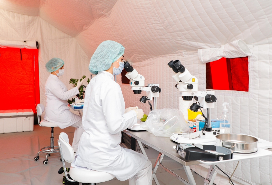 Şəmkirdə AQTİ-nin yeni Çadır tipli Səyyar Fitosanitar Laboratoriyası qurulub
