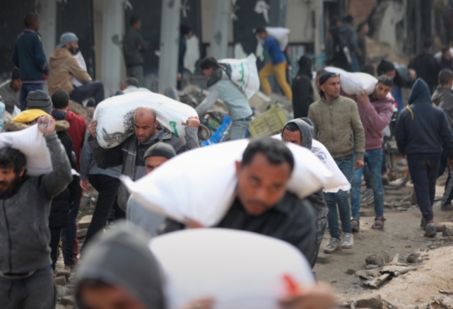 World Food Program halts distribution in northern Gaza until safety improves