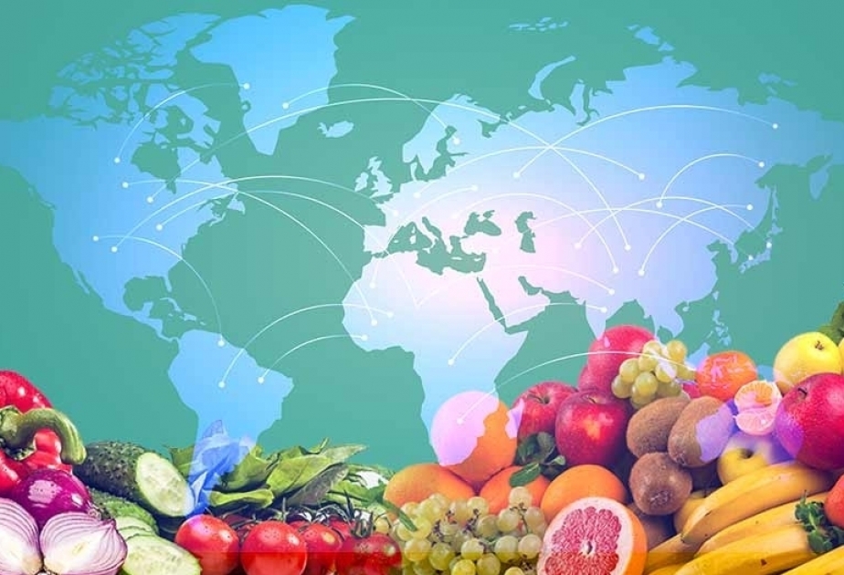 Majority of Azerbaijan's alerts to foreign countries concern potatoes and oranges