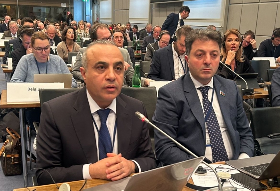 ATƏT PA-nın iclasında Azərbaycanda keçirilmiş növbədənkənar prezident seçkilərindən bəhs edilib