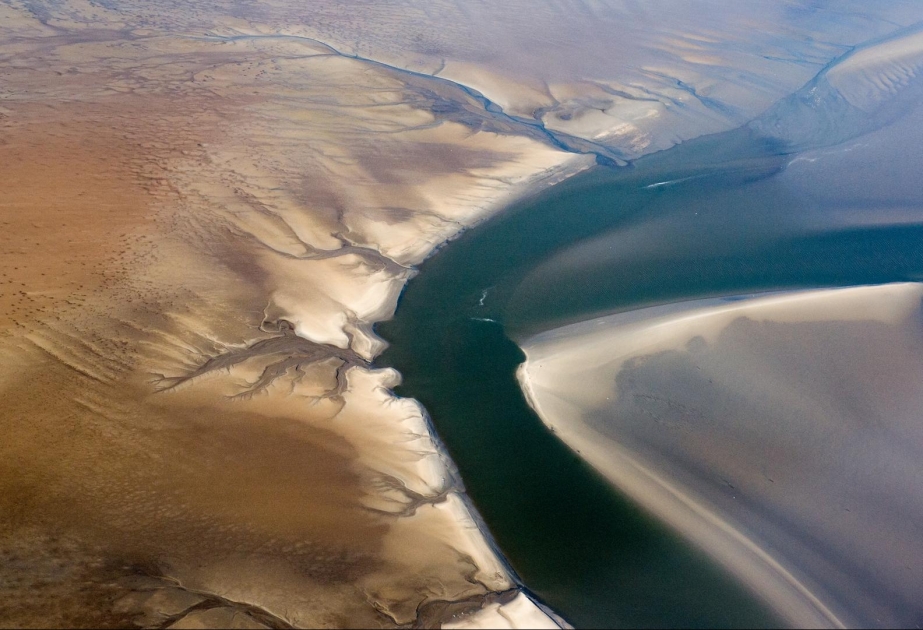 Klimawandel: Forschende beobachten "beispiellose Veränderungen" im Wattenmeer