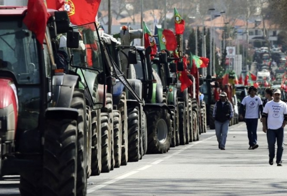Portuqaliya fermerlərə dəstək üçün 204 milyon avro ayırıb