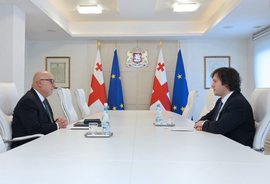 Gürcüstanın Baş naziri və Türkiyənin Tbilisidəki səfiri regional layihələri müzakirə ediblər