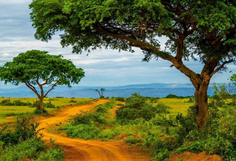 Affecté par le climat, Madagascar s'adapte à la nouvelle réalité : le blog du Coordonnateur Résident