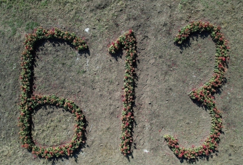Se plantaron árboles y rosales en Joyalí en memoria de las víctimas del genocidio