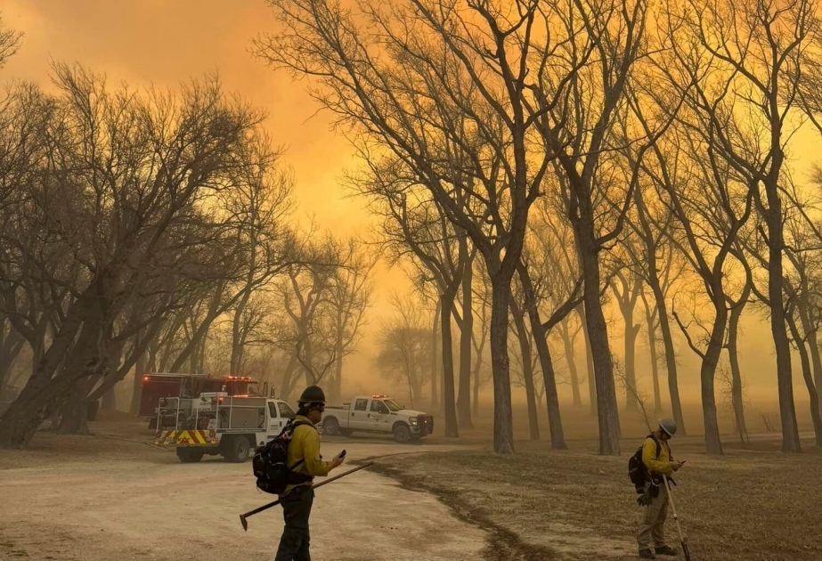 Texas issues disaster declaration as wildfires burn out of control