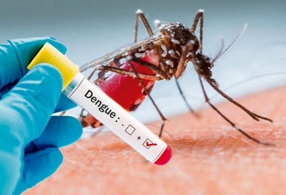 Braziliyada “denge” qızdırmasına yoluxanların sayı bir milyonu ötüb