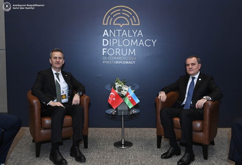 Azerbaijan, Türkiye discuss further expansion of cooperation in several areas