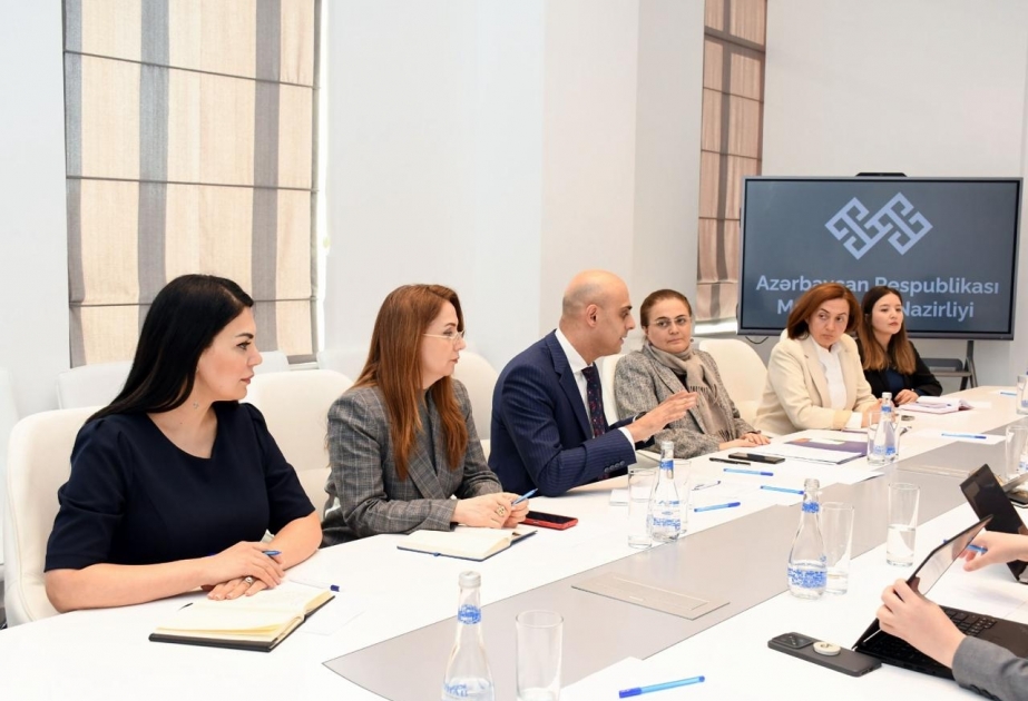 Mədəniyyət Nazirliyində "TikTok"un nümayəndə heyəti ilə görüş olub