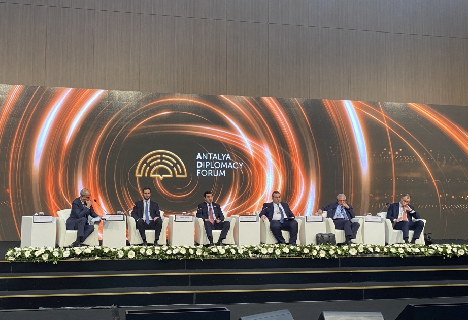 Antalyada “Cənubi Qafqazda sülh, inkişaf və bu çərçivədə qarşılıqlı əlaqələr” mövzusunda panel iclası keçirilib VİDEO