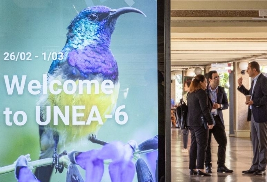 Los trabajos de la Asamblea de las Naciones Unidas para el Medio Ambiente concluyeron con la adopción de 15 resoluciones
