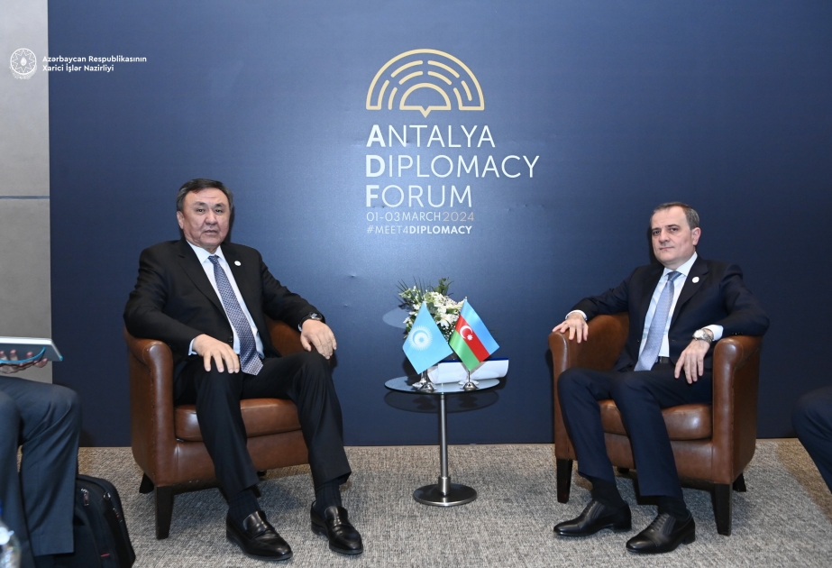 COP29 çərçivəsində TDT ilə mümkün əməkdaşlıq sahələri nəzərdən keçirilib