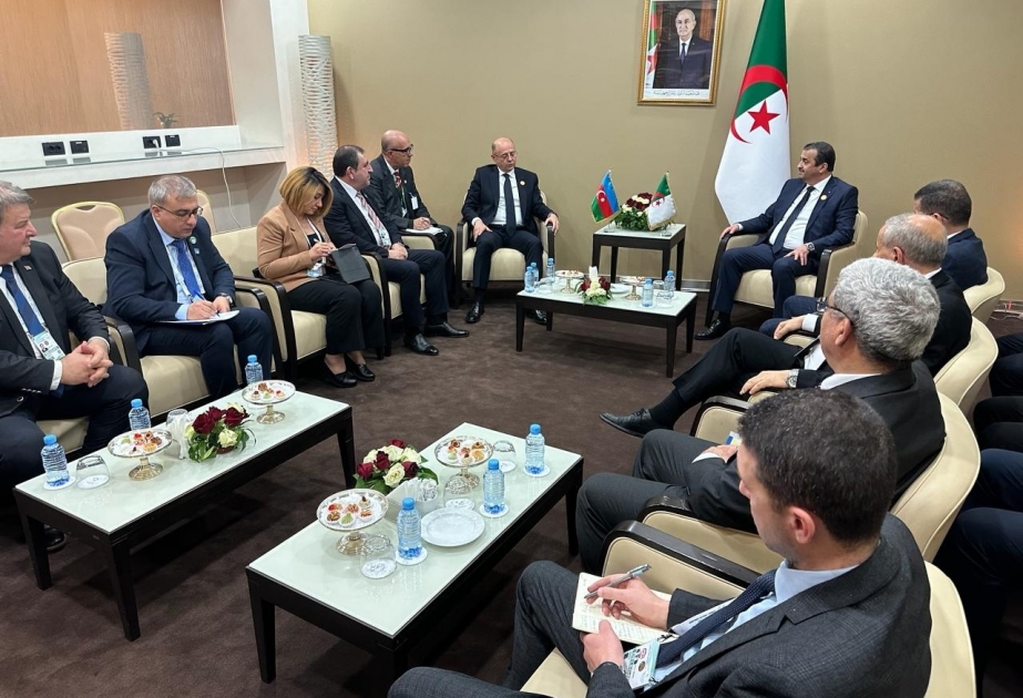 Azərbaycanla Əlcəzairin enerji sahəsində əməkdaşlığı müzakirə olunub