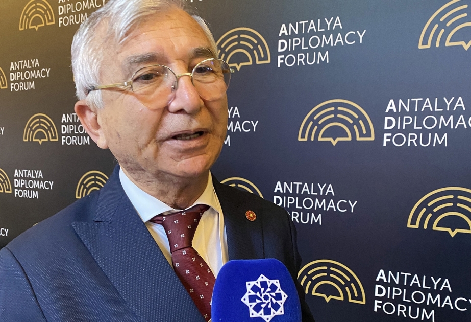 Professor: Forumda Azərbaycanla Türkiyənin Avropanın enerji təhlükəsizliyində mühüm rolu vurğulanıb