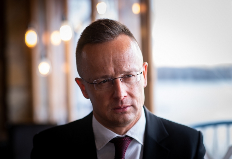 Глава МИД Венгрии подверг критике легкомыслие Макрона