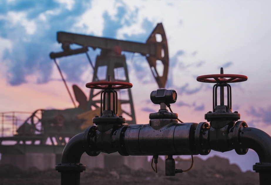 Les pays de l'OPEP+ prolongent la réduction de leur production pétrolière jusqu'au deuxième trimestre