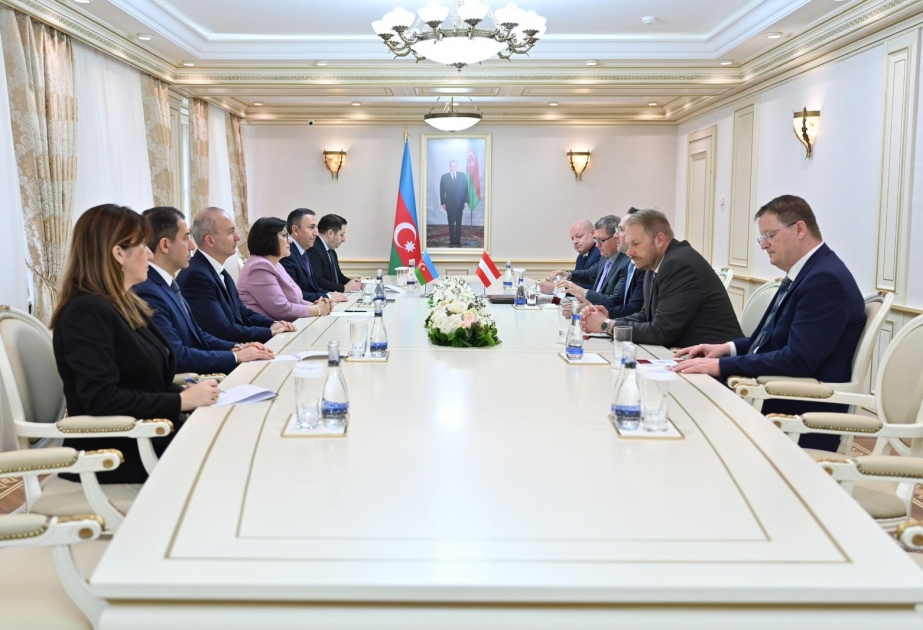 Avstriyalı parlamentarilər Azərbaycanla Ermənistan arasında sülh prosesinin perspektivləri barədə məlumatlandırılıb