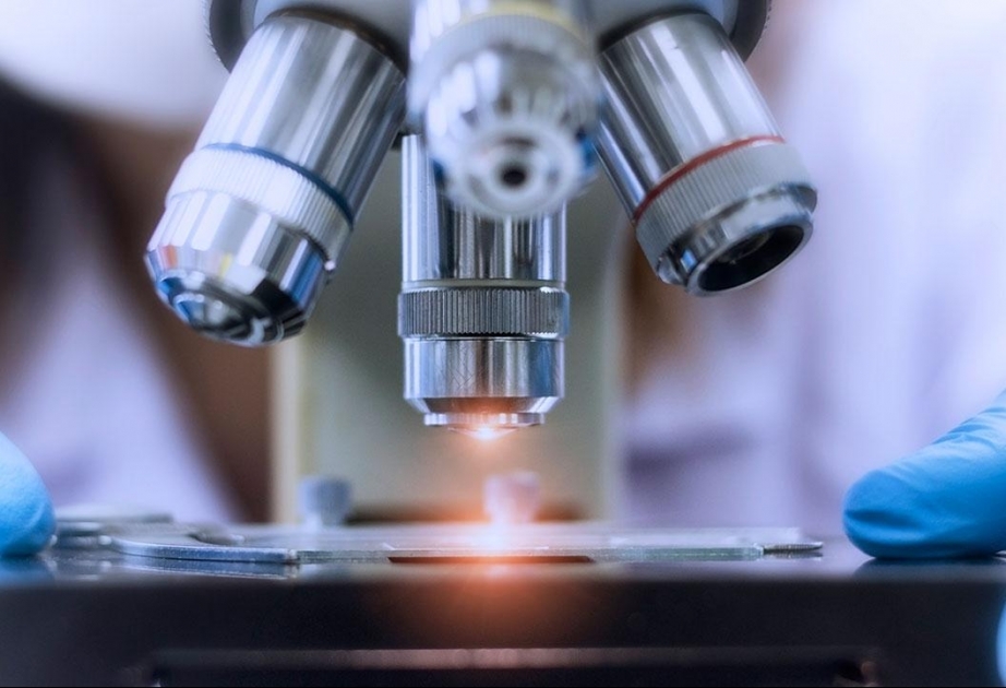 Число R&D-центров в Турции достигло 1292