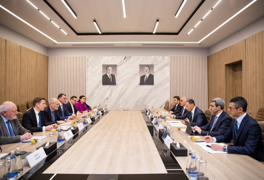 阿塞拜疆数字发展和交通部部长会见德国企业代表