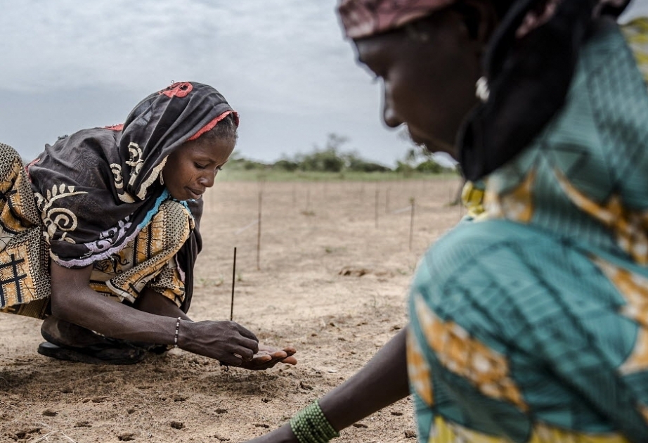 Climate change disproportionately impacts rural women, poor, elders: FAO