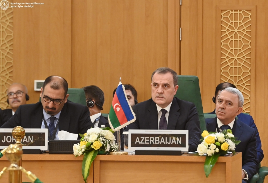 FM: Azerbaijan contributes to alleviating humanitarian consequences of Israeli-Palestinian conflict