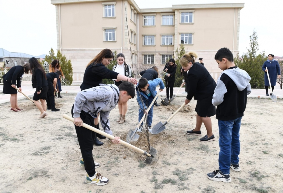 Naxçıvanda “Yaşıl məktəb” layihəsinə start verilib